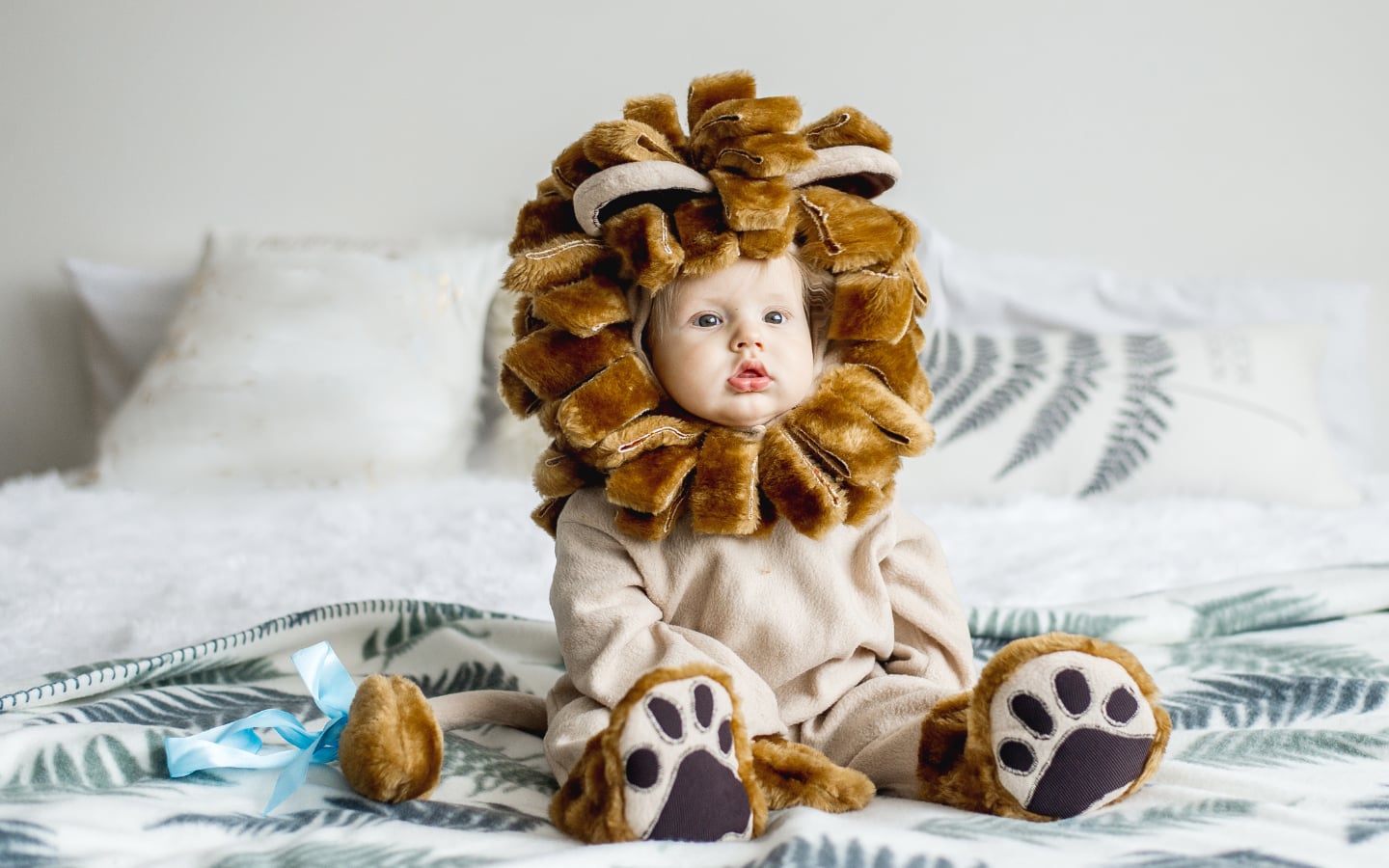 bébé en lion