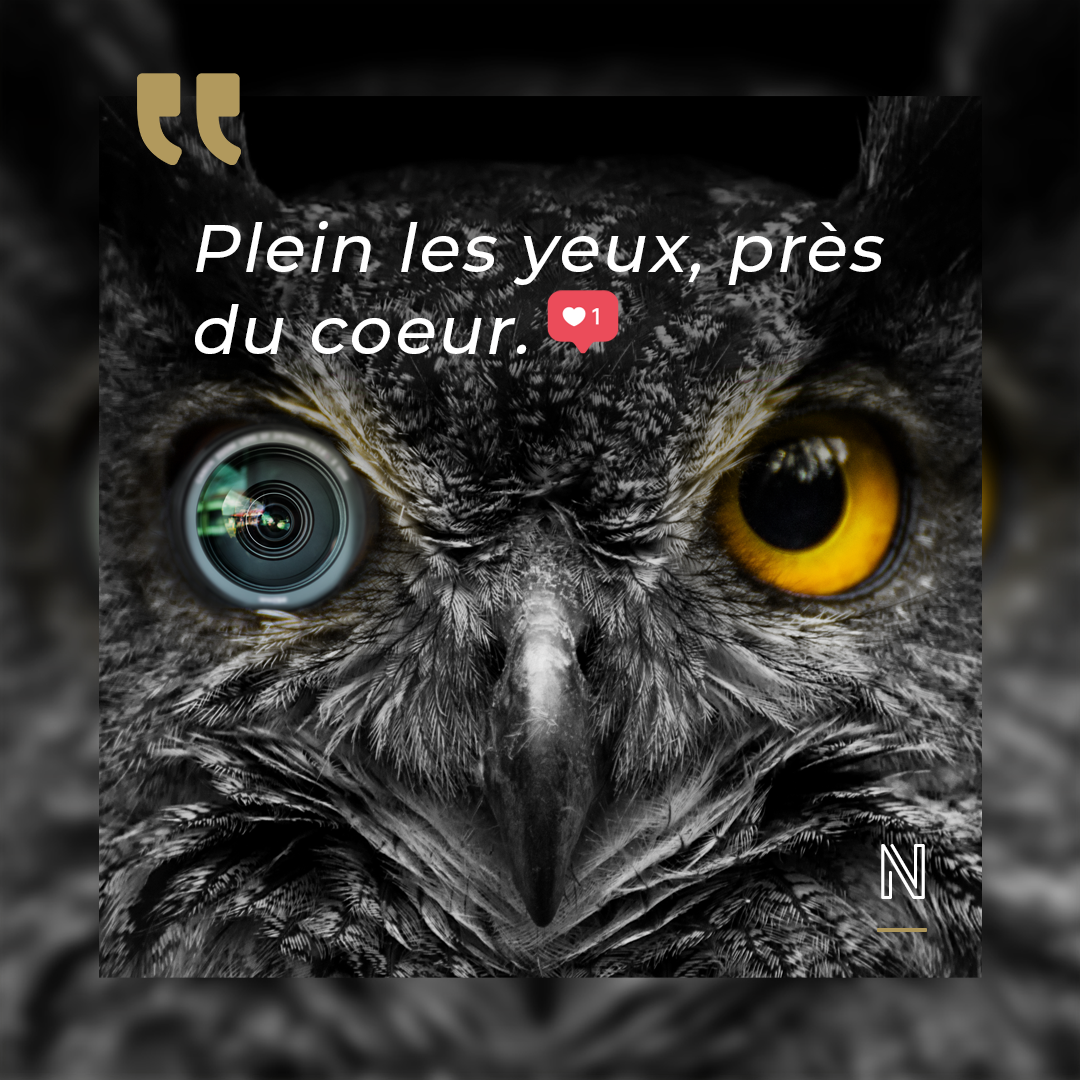 header blog