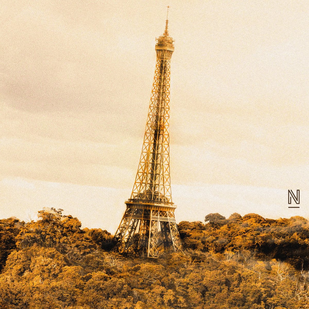 paris nancomcy